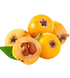 نهال ازگیل