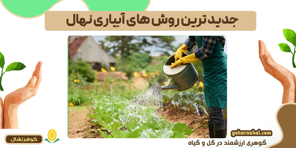 جدیدترین روش‌های آبیاری نهال