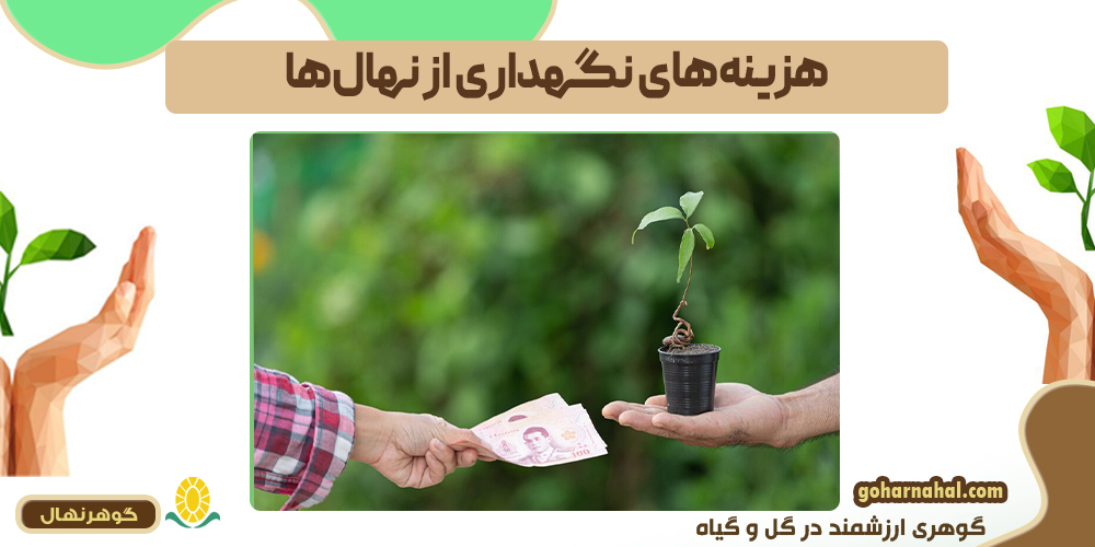 هزینه‌های نگهداری از نهال‌ میوه