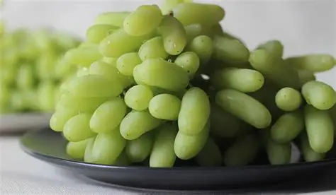 نهال انگور ریش بابا