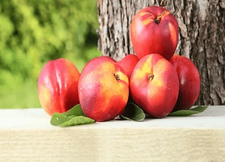 نهال شلیل قرمز بهاره